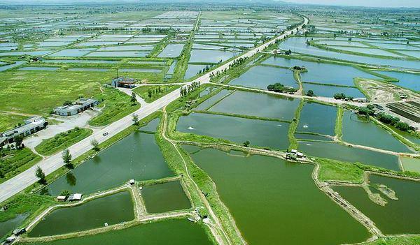 最好就業(yè)的農(nóng)林牧漁大類十大專業(yè)