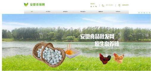 打造一流的行業(yè)平臺&ldquo;安徽養(yǎng)殖網(wǎng)&rdquo;