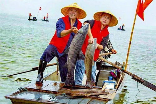 農(nóng)業(yè)農(nóng)村部辦公廳關(guān)于 實施水產(chǎn)綠色健康養(yǎng)殖技術(shù)推廣 五大行動 的通知