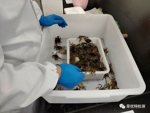 你負(fù)責(zé)水產(chǎn)養(yǎng)殖,我們負(fù)責(zé)病害檢測(cè) 菲優(yōu)特降低各類水產(chǎn)養(yǎng)殖風(fēng)險(xiǎn)