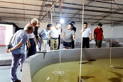 【熱點(diǎn)】山東省科協(xié)助力創(chuàng)新驅(qū)動(dòng)發(fā)展行動(dòng)走進(jìn)無棣縣現(xiàn)代海洋漁業(yè)協(xié)同創(chuàng)新基地