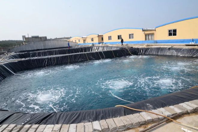 水產(chǎn)界女CEO花25年打造飼料、蝦苗、動(dòng)保小產(chǎn)業(yè)鏈 !如今她聘請(qǐng)?zhí)﹪鴮＜摇⒙?lián)手正大,發(fā)力蝦苗板塊 | 尋找中國好蝦苗