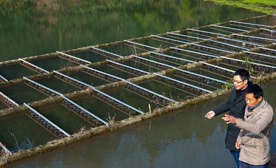 萬州:治理尾水 促水產(chǎn)養(yǎng)殖業(yè)綠色高質(zhì)量發(fā)展