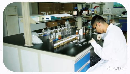 系統(tǒng)檢測 精準(zhǔn)服務(wù) 讓水產(chǎn)養(yǎng)殖更可控