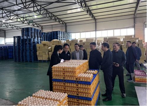 周華榮赴夾江縣開展畜禽水產(chǎn)養(yǎng)殖污染防治條例立法調(diào)研