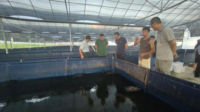 技術(shù)大拿間的&ldquo;夢幻聯(lián)動&rdquo;!海之味與集美大學水產(chǎn)學院達成戰(zhàn)略合作,開啟牛蛙技術(shù)研發(fā)新篇章