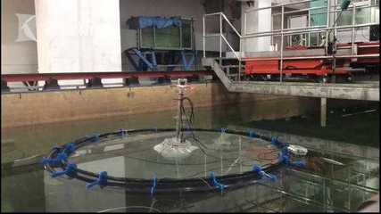 &ldquo;深遠海養殖技術發展國際研討會&rdquo;在臨港召開