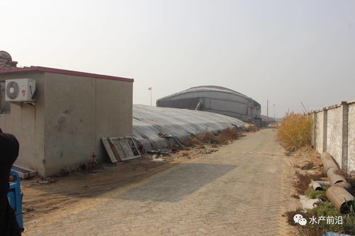 飼料營養如何堪比活餌 工廠化排水如何環保 高投入下是否意味著高收益