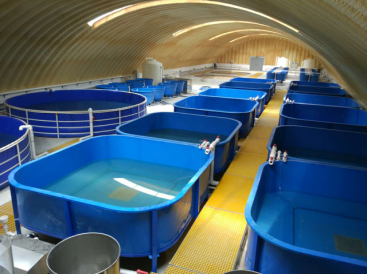 工業化養殖工程學研究與裝備研發-中國水產科學研究院漁業機.