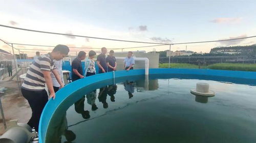 技術(shù)大拿間的 夢(mèng)幻聯(lián)動(dòng) 海之味與集美大學(xué)水產(chǎn)學(xué)院達(dá)成戰(zhàn)略合作,開(kāi)啟牛蛙技術(shù)研發(fā)新篇章