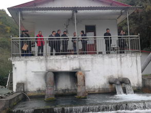 全國(guó)水產(chǎn)技術(shù)推廣總站副站長(zhǎng)胡紅浪等到畢節(jié)考察三文魚(yú)養(yǎng)殖