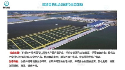 工廠化養(yǎng)魚(yú)-智慧農(nóng)研(在線咨詢(xún))-工廠化循環(huán)水養(yǎng)魚(yú)