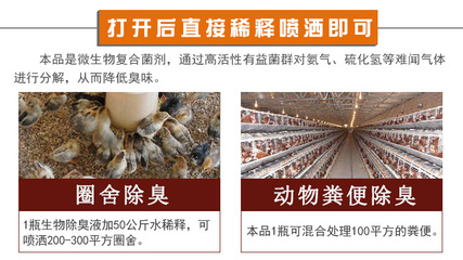 快速降低雞圈臭味氨氣用什么藥好對雞沒危害