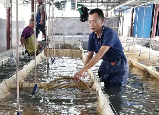 在假期,新型&ldquo;職業農民&rdquo;是怎么養魚的?